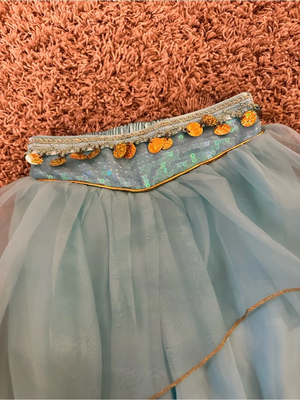 Disney Princess Jasmine Costume from Disneyland